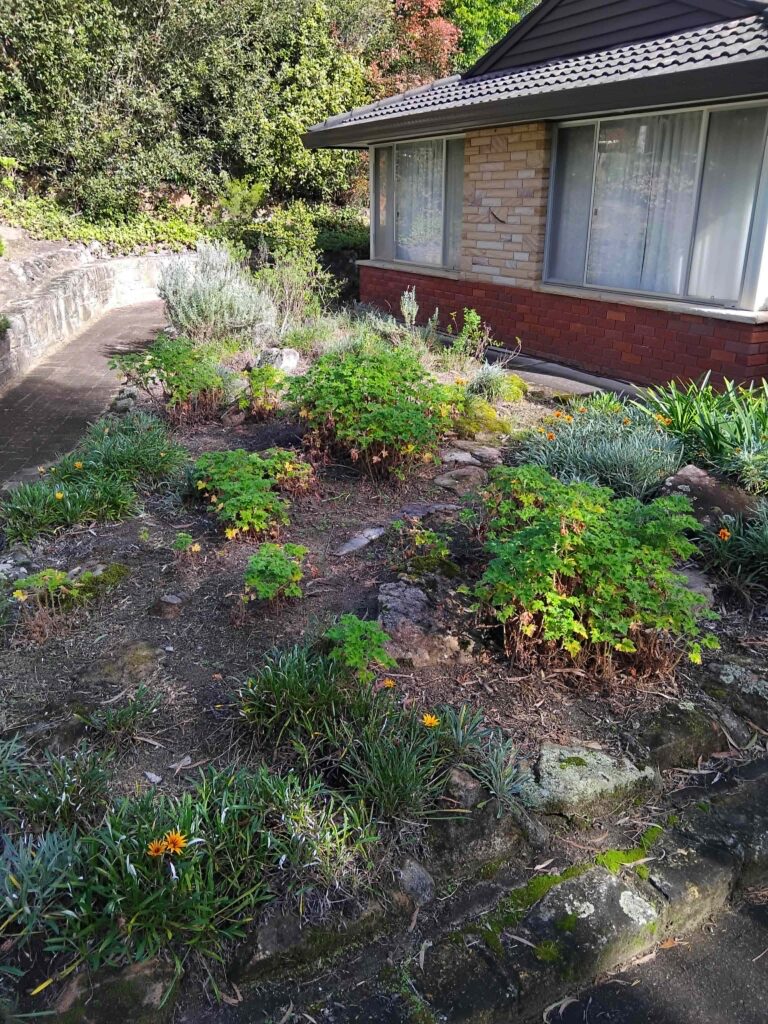 Garden Maintenance in Hills District
