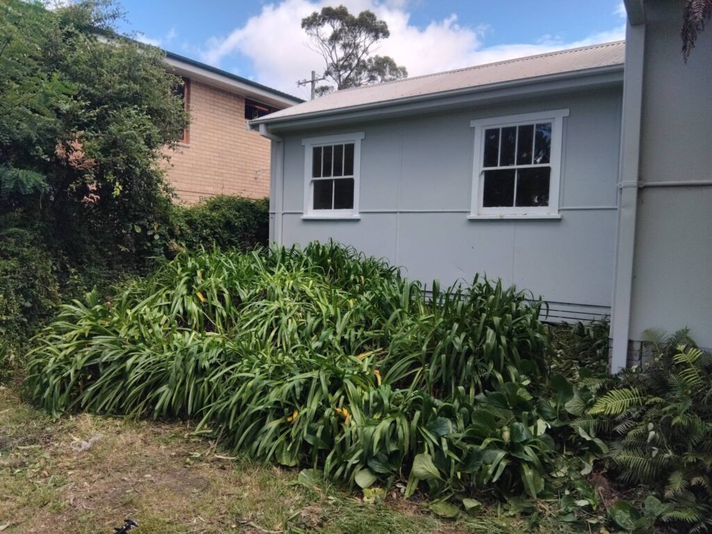 Green Waste Removal in Hills District