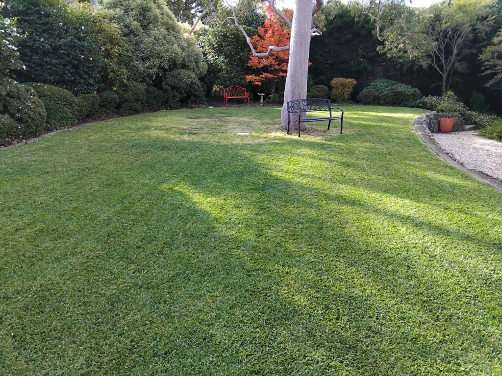 Lawn Mowing in Hills District